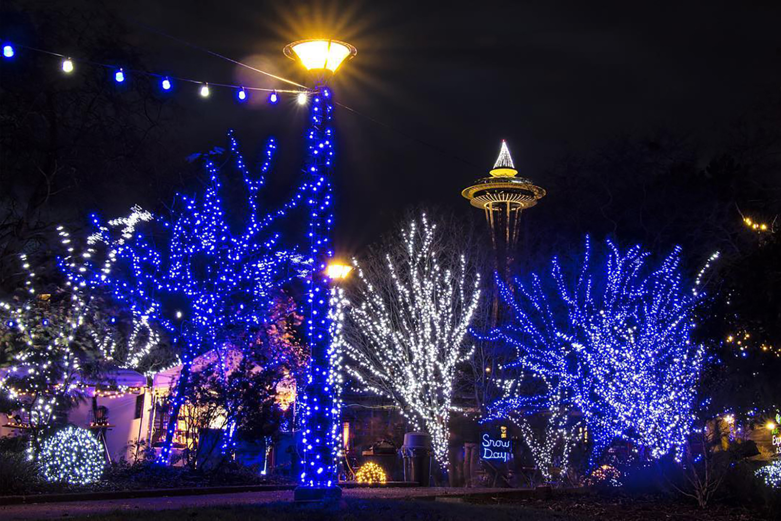 Seattle’s Winter Wonderland Beckons Spire