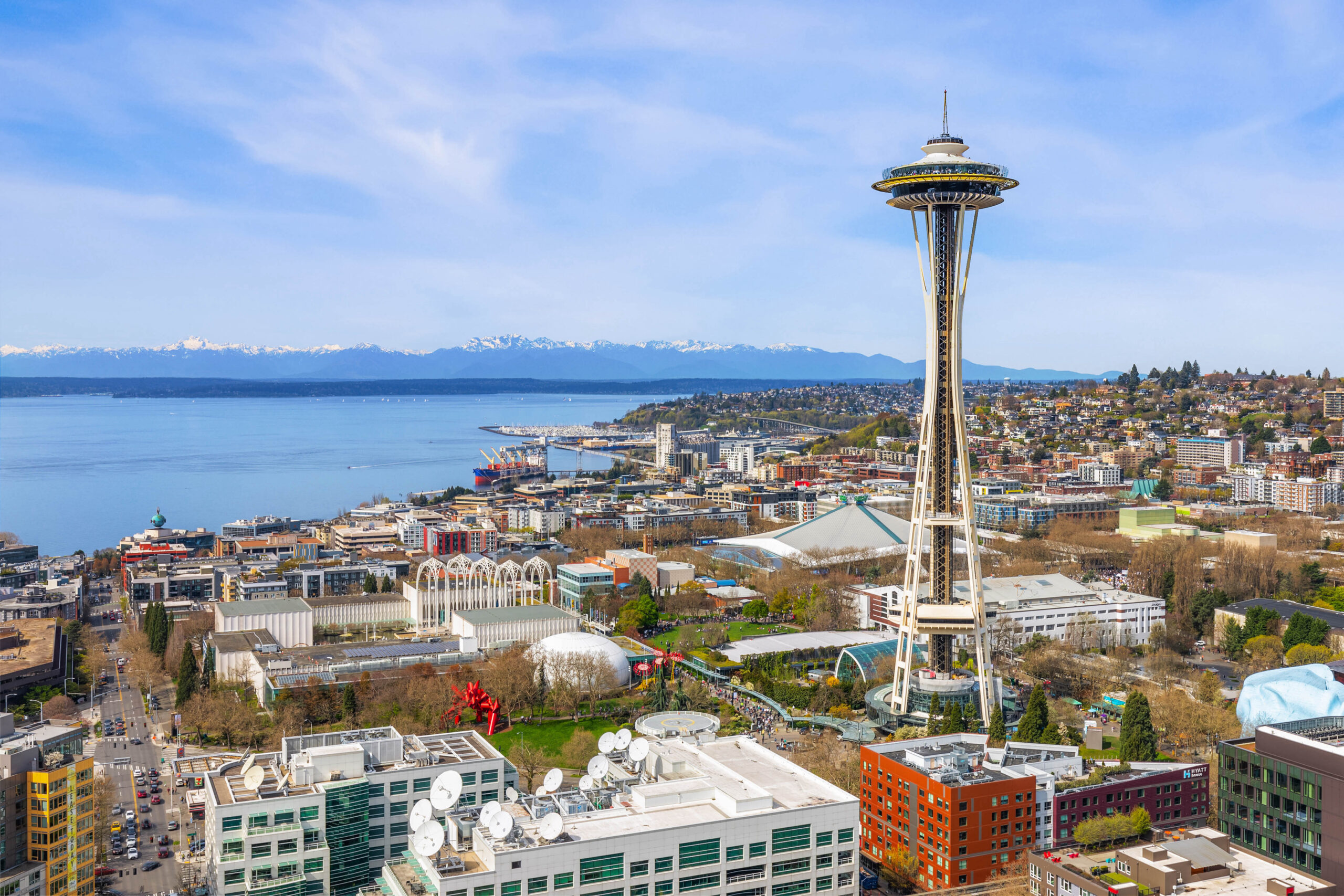 3506 unit view of the Space Needle
